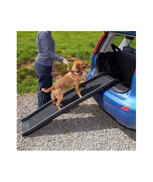 Folded Plastic Pet Ramp