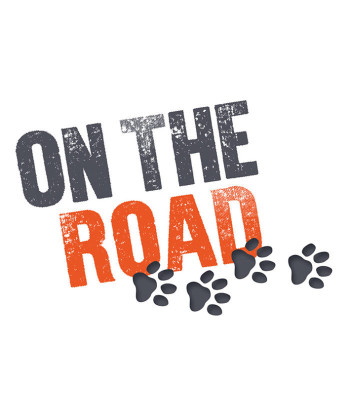 On-the-Road Bowl – Orange - Small