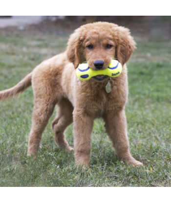 AirDog Squeaker Bone Medium