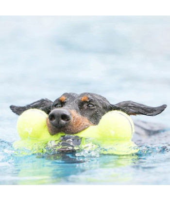 AirDog Squeaker Bone Medium