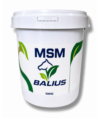 Balius MSM Powder 5kg