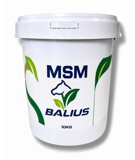 Balius MSM Powder 5kg