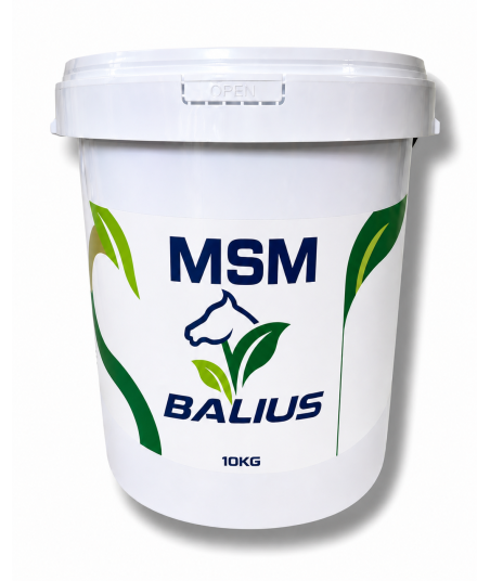 Balius MSM Powder 5kg