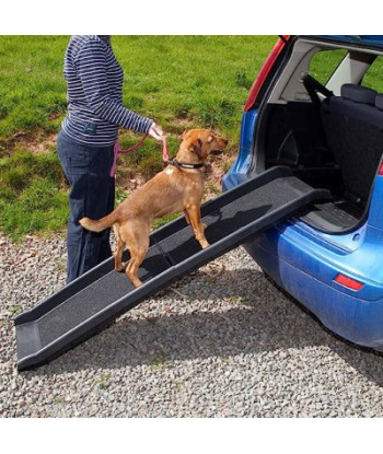 Folded Plastic Pet Ramp