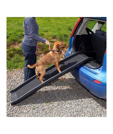 Folded Plastic Pet Ramp