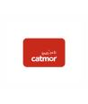 Catmor